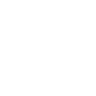 social-wordpress