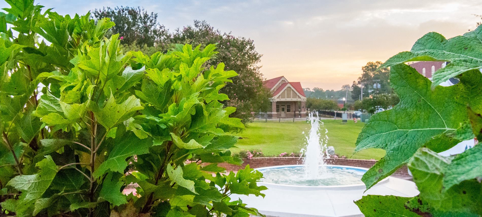 View of a water fountain spouting water into the air through greenery overlooking a bright green lawn