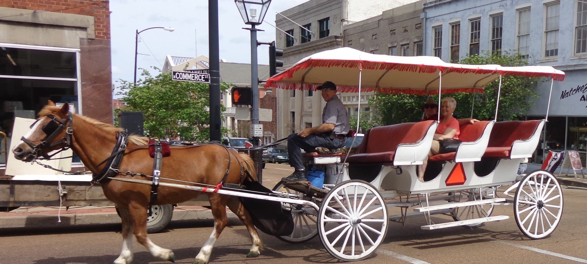 A man and two passengers enjoying a carriage ride pulled by a beautiful brown horse downtown Natchez