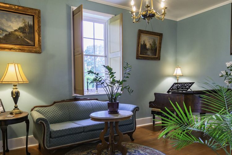 View of sitting area decorated with baby blue walls, wood flooring, a pale blue sofa, dark wood piano an dtables, and a tropical plant