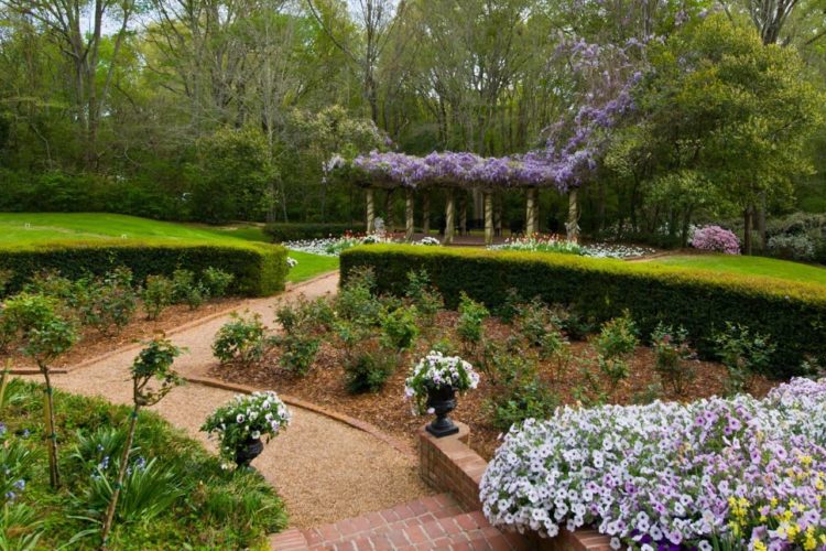 Brick stairs leading into a garden full of green grass, yellow and lavender flowers, an angel statue, and a pergola covered in purple flowers in background